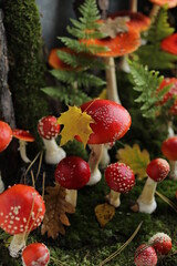 Forest fly agarics on green moss with fern and pine branches. Decorative composition made of...
