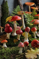 Forest fly agarics on green moss with fern and pine branches. Decorative composition made of...