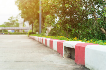 green climbing plant hanging on the wall by red and white pavement by the street as background