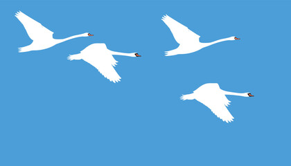 White swan flying in the sky. swan flat design vector illustration