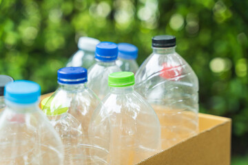 plastic bottle in paper box for concept recycling and reuse in the garden.