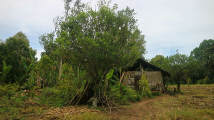 Fototapeta na wymiar a hut on a farm