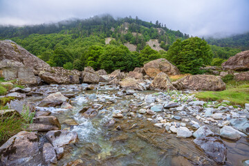 Scenic view of a river in mountain landscape. Gave de Brousset, French Pyrenees 
