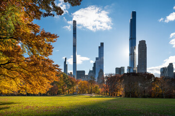 Central Park Sheep Meadow lawn in Fall with Billionaires Row skyscrapers. Midtown Manhattan, New York City - 539443529