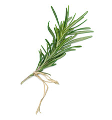 Herbs, Isolated - Rosemary