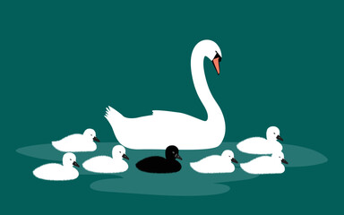 Cartoon swan family swimming in the pond. White swan largest flying bird swim on water cartoon animal design flat vector illustration isolated on isolated background