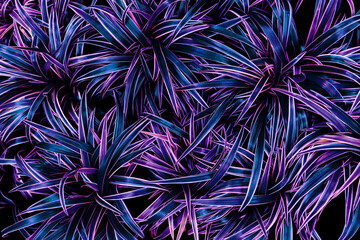 colorful tropical leaves, blue and purple abstract background, toned process.