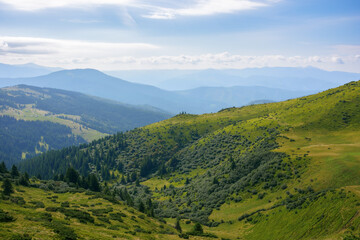 Fototapeta na wymiar picturesque view of carpathian mountains. green landscape with hills rolling in to the distant ridge. alpine meadows beneath a sky with clouds on a warm summer day