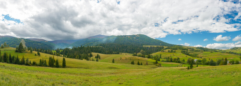 transcarpathian rural landscape. trees and grassy meadows on the hills at the foot of borzhava mountain ridge. warm sunny weather in september