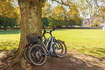 Fototapeta na wymiar two bicycle's leaning against a tree trunk, Autumn park scene