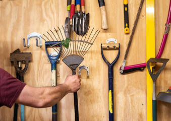 Man's arm taking lawn and leaf rake off wooden wall with various hanging DIY garden tools in shed.