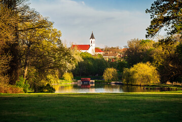 Festetics castle's garden in Deg town Hungary. Amazing little lake in this place. Fantastic mood green area. 
