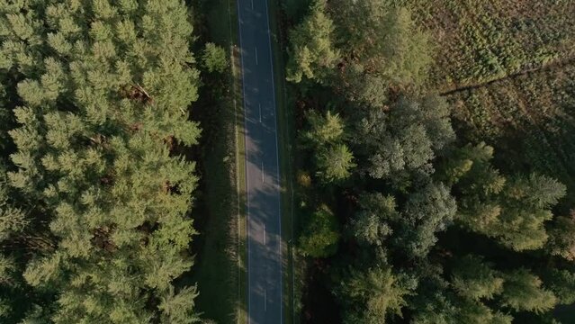 drone shot going over national park