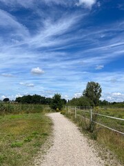 Fototapeta na wymiar green field and blue sky with white clouds, idyllic rural landscape