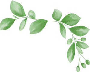 Fototapeta premium Watercolor Green Leaf For Wedding Decoration