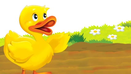 Fototapeten cartoon farm scene with duck bird illustration for children © honeyflavour