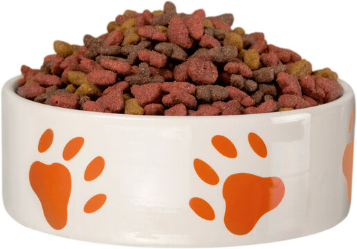 Dog Bowl with Dry Food Isolated