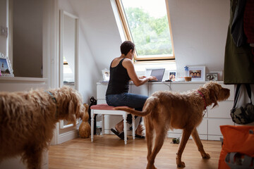 Dogs walking near woman working from home at laptop