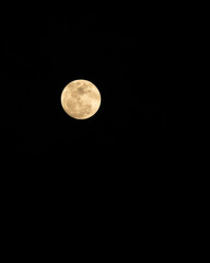 A full moon in the dark sky. Yellow moon. Nature.