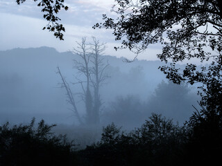 Obraz na płótnie Canvas MISTY LANDSCAPE - Autumn morning in the river valley 