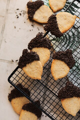 Acorn-shaped shortbread cookies with chocolate icing and sprinkles. Autumn themed baking. Homemade cookies. Kitchen creativity.