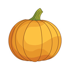 Cute flat style pumpkin. Oval shape. Vegetable illustration for farm market menu. Healthy food design. Autumn illustration. Clipart element for design for Thanksgiving, Halloween, Harvest Festival.