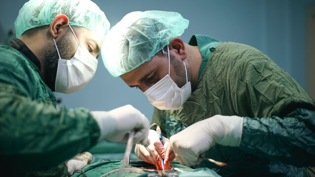 Doctors Performing An Appendectomy Surgery, Surgical Concept.