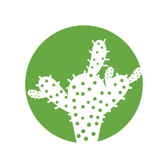 Cactus in flowerpot logo Vector illustration