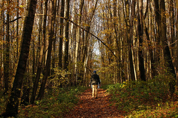 Young man in black jacket in autumn colourful forest. Pavel Kubarkov, i in autumn forest. Photo was taken 14 October 2022 year, MSK time in Russia. - 539457592
