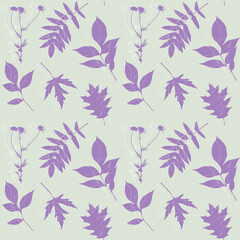Camomile and leaves silhouette, violet pastel color, pattern. Stamp, imprint, herbarium, vintage.