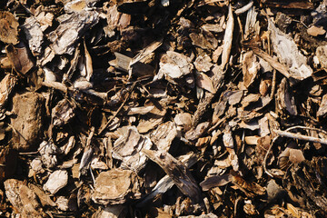 Tree bark texture. Peeling tree trunk. Bark in pieces background. Ground protection with chopped tree part. Securing plats root from cold. Forest path pattern.