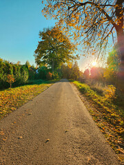 Naklejka premium Road in autumn. Beautiful autumn lane in the countryside. Empty pathway and colorful trees. Sunny and tranquillity scene. Autumn mood. 