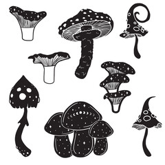 Set of magical autumn mushrooms, vector art