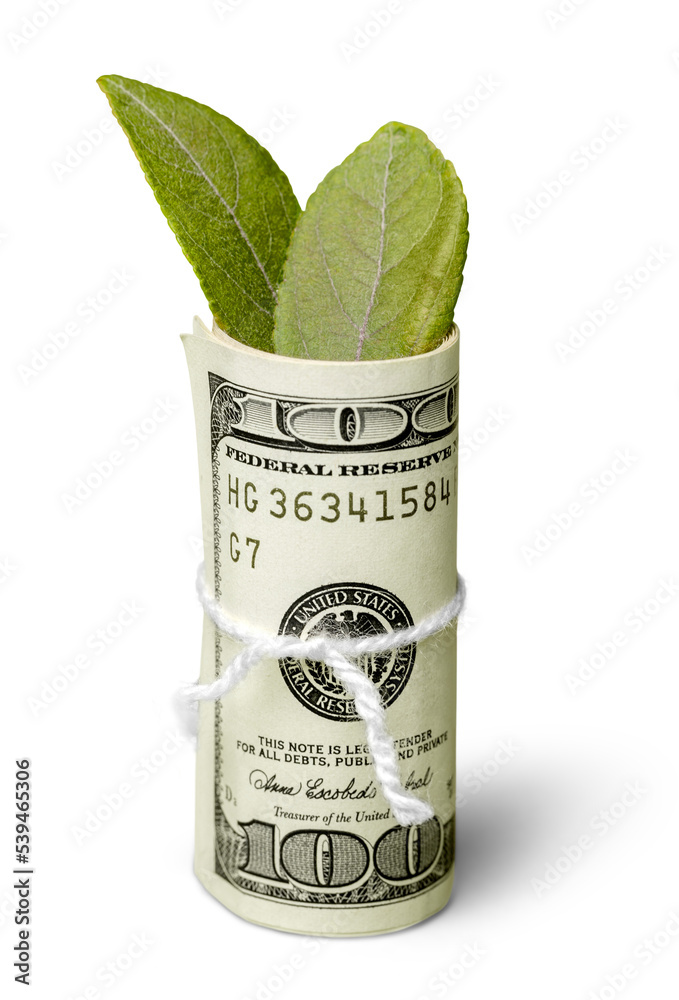 Wall mural dollar bills with leaves - Wall murals