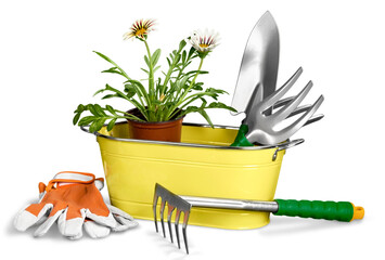 Gardening Equipment and flowers isolated on white