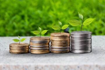 Stack of golden coins and green plants