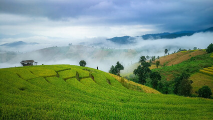 Morning light Beautiful terraced rice fields in the village landscape of Mae Chaem Phapong Phuang...