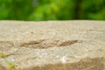 Backdrop with old stone parapet in soft focus. Template for adding an object.