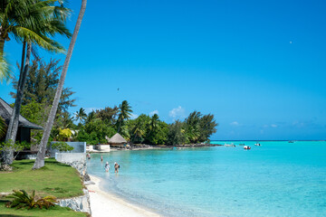 Panorama of French Polynesia with palm trees and blue sea