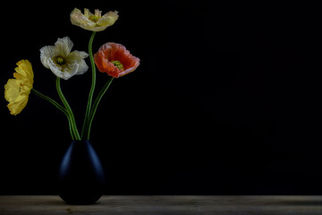 A wonderful poppy flower. closeup of petals