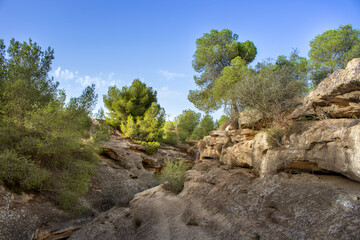 Vega Baja del Segura - Ruta de senderismo por La Caldera del Gigante y Hoyo Serrano en los t&eacute;rminos municipales de Algorfa, Almorad&iacute;, Rojales y Benejuzar