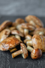 Mushroom Boletus at the Wooden Background. close up on wood rustic table. 