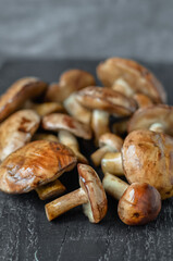 Mushroom Boletus at the Wooden Background. close up on wood rustic table. 
