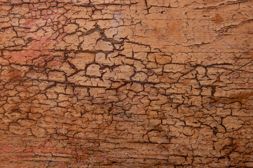 Background from wooden old boards with cracked paint. Vintage green fence texture as abstract background. Craquelure cracks.