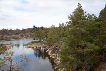 Fototapeta na wymiar beautiful autumn landscape. lake view surrounded by forest