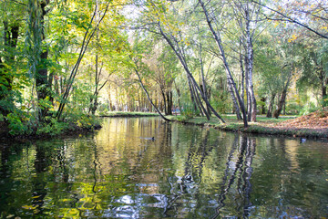 Fototapeta premium Beautiful lake in the park