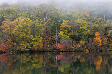 秋の高原の風景　志賀高原の紅葉
