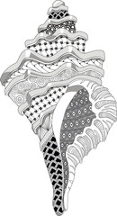 Decorative seashell in zentangle style. Vector illustration