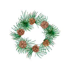 pine cones and needles