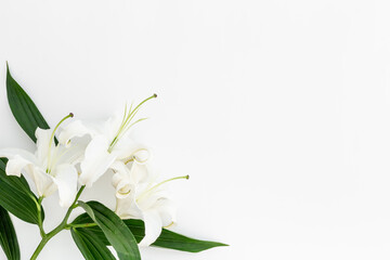Branch of white lilies as symbol of the funeral. Mourning concept
